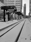 16th Feb 2023 - Edmonton In Black and White...Waiting for the train