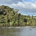 Taken in Kerikeri near the Stone store , too rough for seagulls at sea  by Dawn