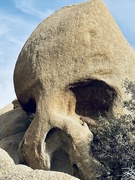 12th Feb 2023 - Skull Rock