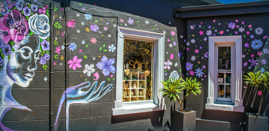 A floral themed shopfront by ludwigsdiana