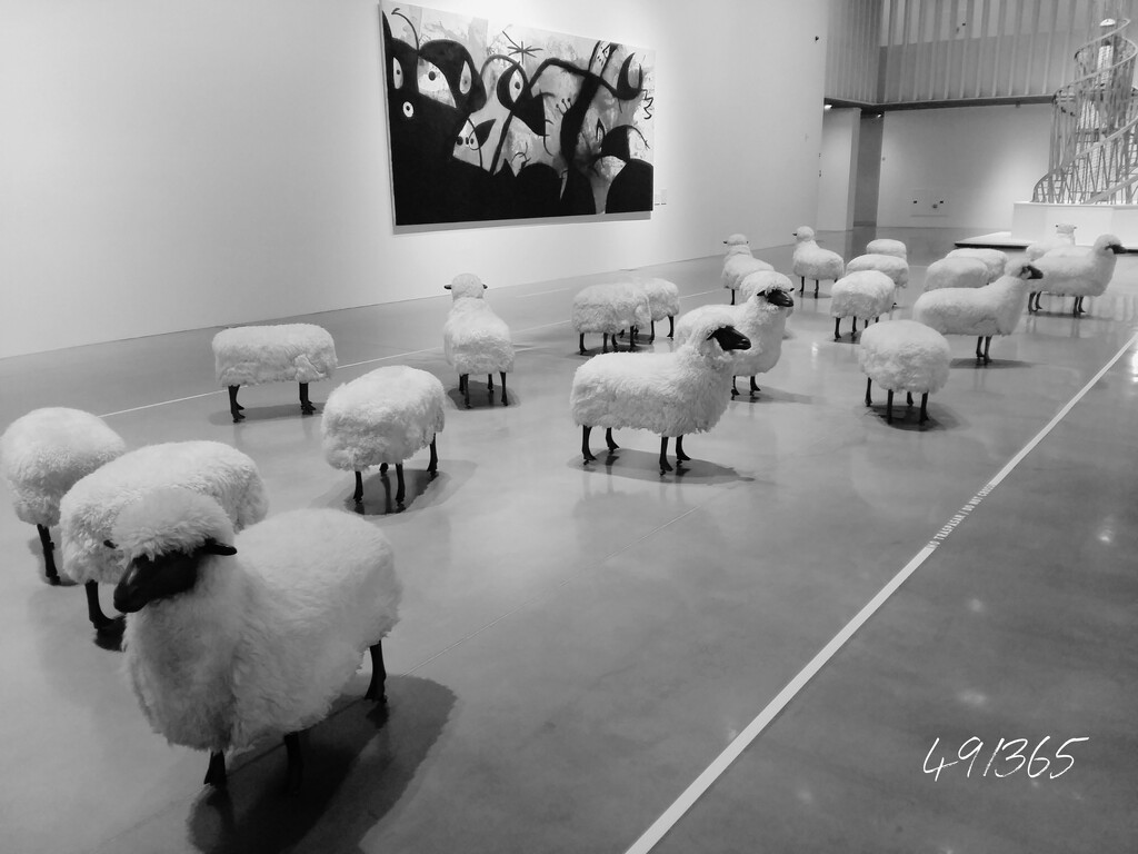Flock of sheep by franbalsera
