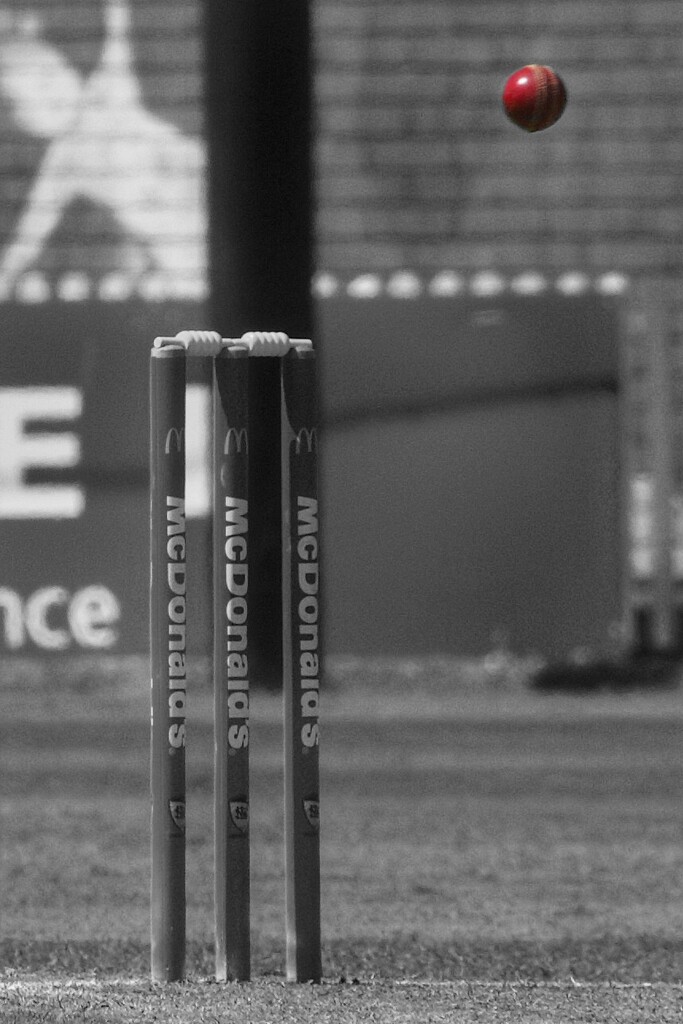 Still life wicket equals not out!!! by johnfalconer