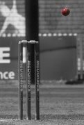 18th Feb 2023 - Still life wicket equals not out!!!