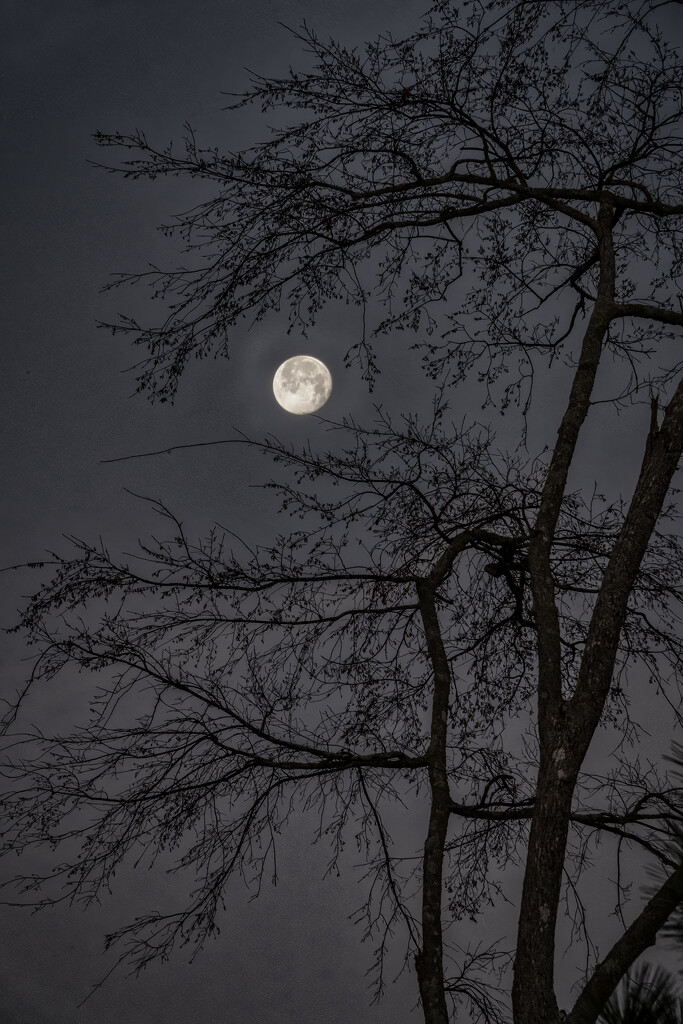 Snow Moonset by kvphoto
