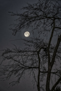 12th Feb 2023 - Snow Moonset
