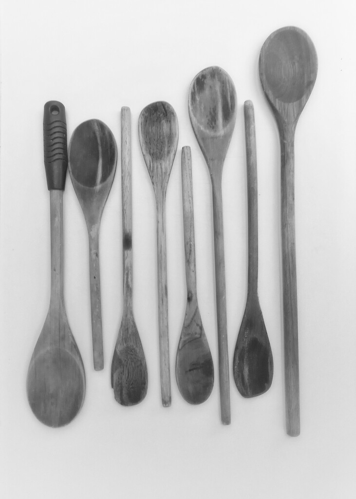 Wooden Spoons  by salza