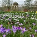 Spring Bulbs again by carole_sandford