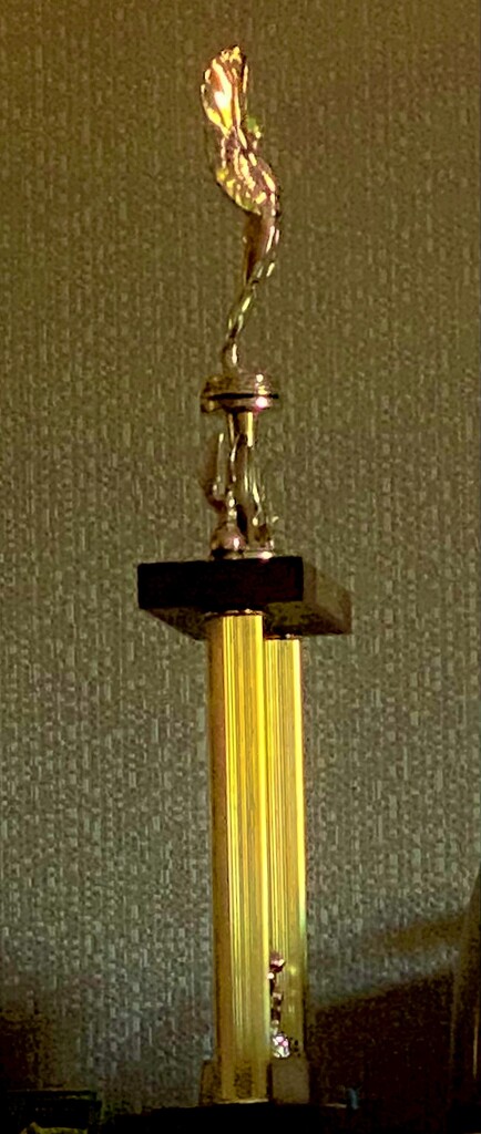 Trophy by maggiemae
