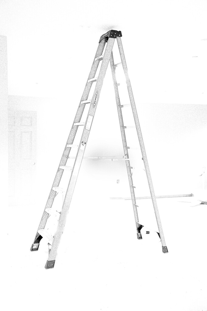 Ladder by joansmor
