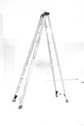 18th Feb 2023 - Ladder