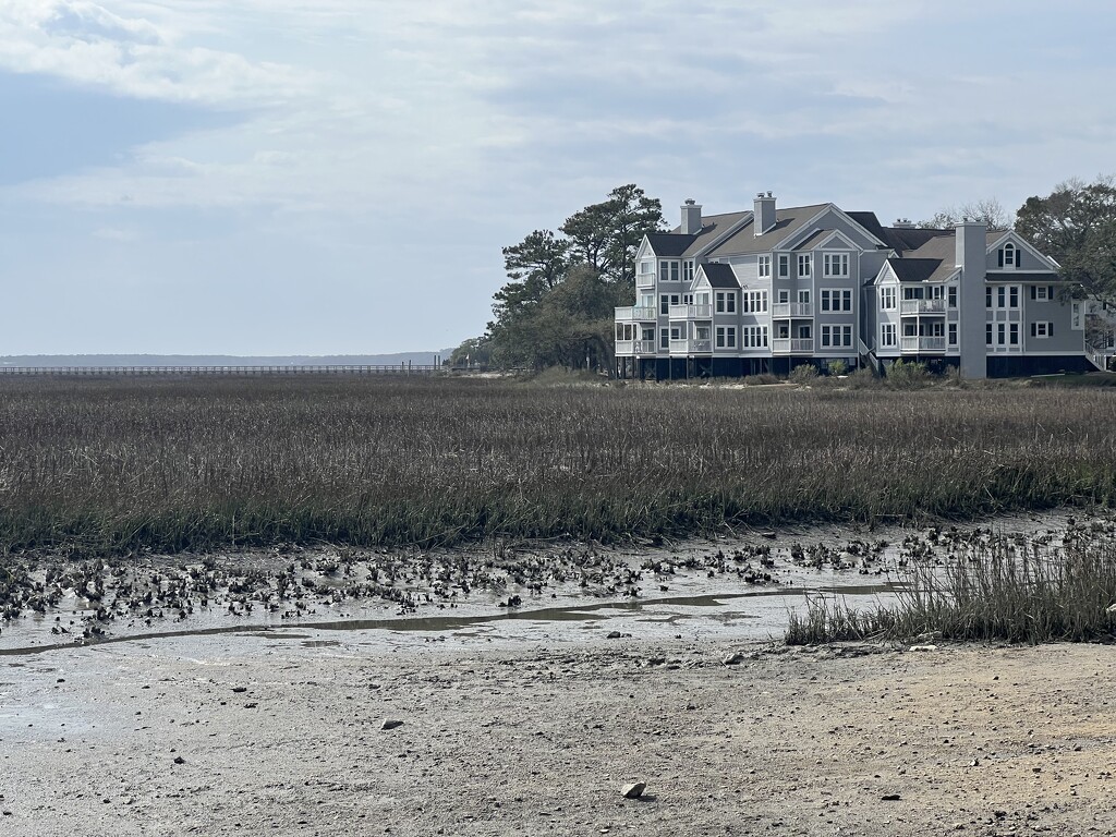 Overlooking the Marsh at Low Tide by calm
