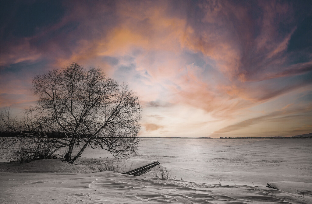 Winter Skies by pdulis