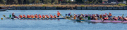 19th Feb 2023 - Dragon Boat Race