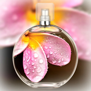 19th Feb 2023 - Captured fragrance