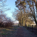 Jan 29th Path to Renhold by valpetersen