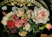19th Feb 2023 - Flowers..........