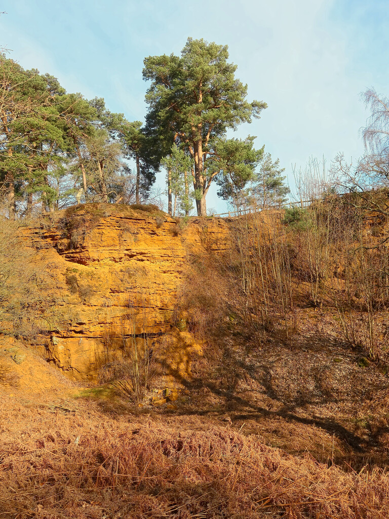 Tree on the edge... by neil_ge