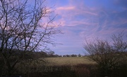 19th Feb 2023 - Beautiful sky this evening 