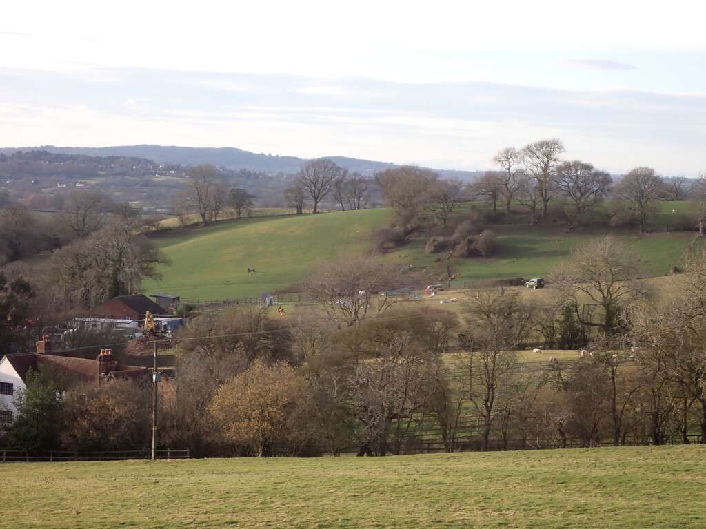 Looking across by speedwell