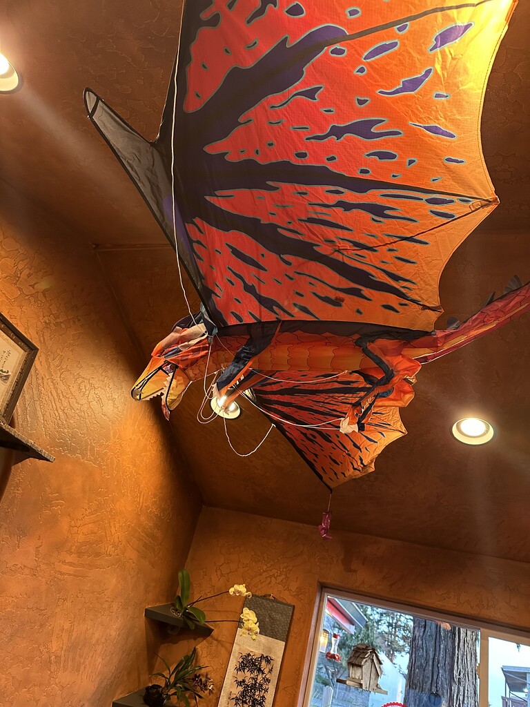 Dragon in the Chinese Restaurant  by pandorasecho