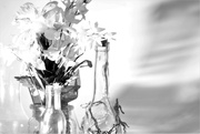 18th Feb 2023 - B&W Sill-Life with Bottles and Flowers