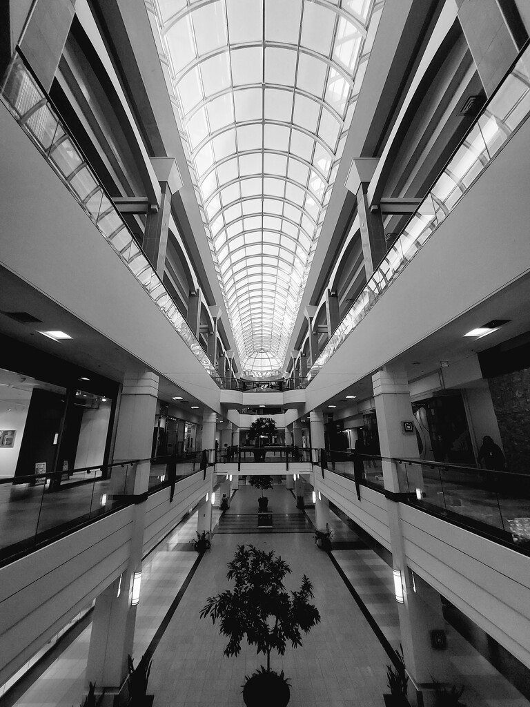 Edmonton In Black and White....Retail Therapy  by bkbinthecity