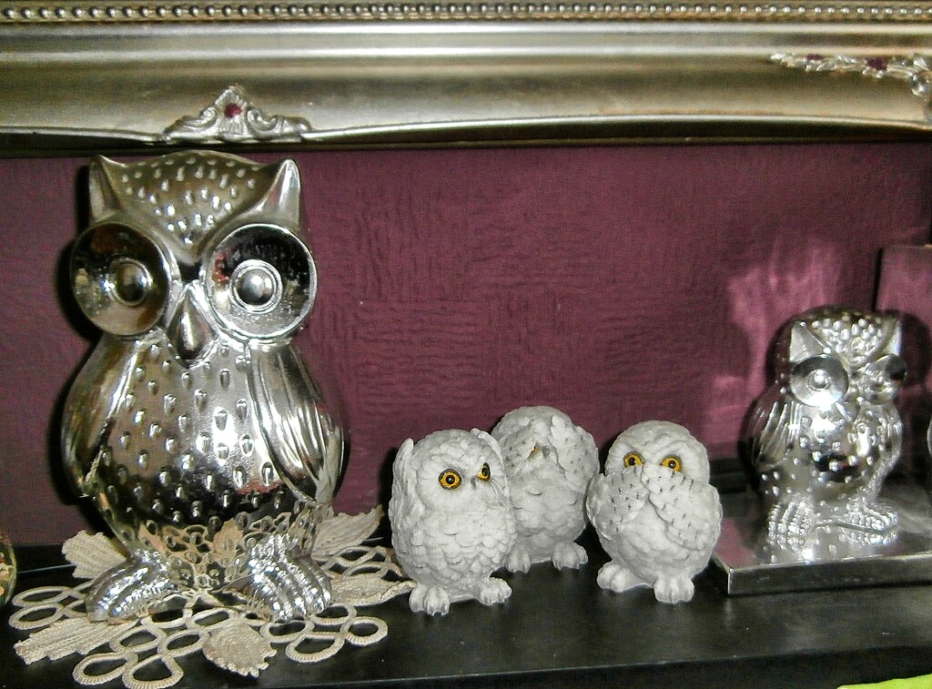 Owls....... by cutekitty