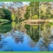 Lake Reflections,Stowe Gardens by carolmw
