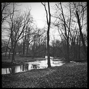 19th Feb 2022 - By The Creek | Black & White