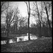 By The Creek | Black & White by yogiw