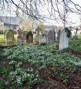 19th Feb 2023 - Churchyard Scene