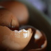 April Eggshells #2 by mcsiegle