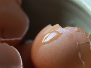 17th Feb 2023 - April Eggshells #1
