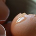 April Eggshells #1 by mcsiegle