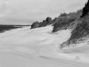 20th Feb 2023 - Dunes for FOR 