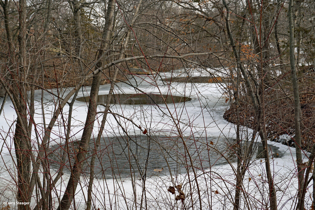 Frozen pond with circles by larrysphotos