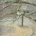 Bluebird on Tree Branch  by sfeldphotos