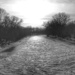 landscape1, icy river (b&w, day 20) by amyk