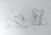 21st Feb 2023 - My son's cat sketch