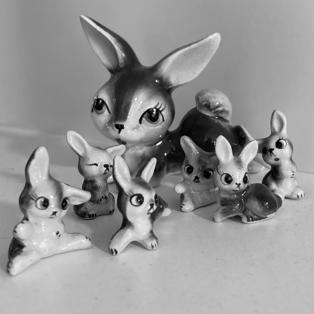 Bunnies by narayani