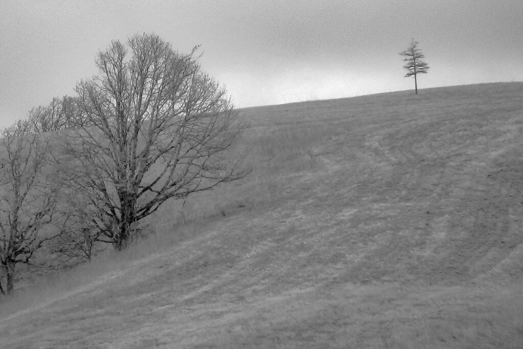 Landscape on a Gray Day by granagringa