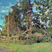 Cyclone Damage by chikadnz