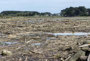 20th Feb 2023 - Cyclone debris