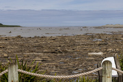 19th Feb 2023 - Cyclone debris