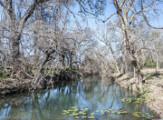 21st Feb 2023 - Honey Creek  in color