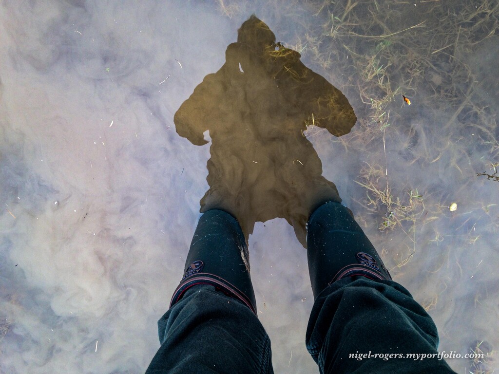 I like standing in muddy water by nigelrogers