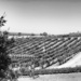 Fairly local vineyard for Wise Winery by shutterbug49