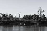 21st Feb 2023 - 051 - Murray River Landscape?