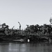 051 - Murray River Landscape? by nannasgotitgoingon