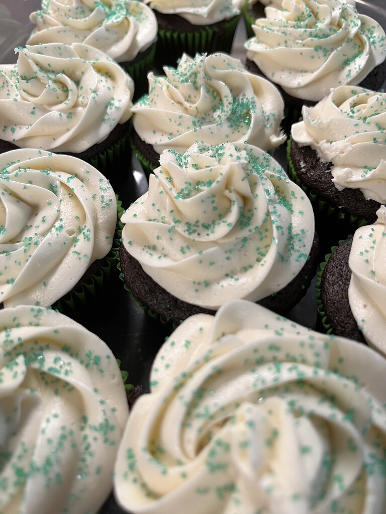 Guinness cupcakes  by pennyrae